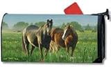 Horses Morning Meadow Magnetic Mailbox Cover