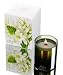 Dayna Decker Large Botanika Candle - Zelia - 16 oz.
