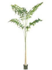 Cover image : 10' Silk Fishtail Palm Tree in Pot (Local Pickup Only - call for availability)
