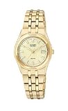 Citizen Eco-Drive Corso Black Champagne Women's watch #EW0942-56P