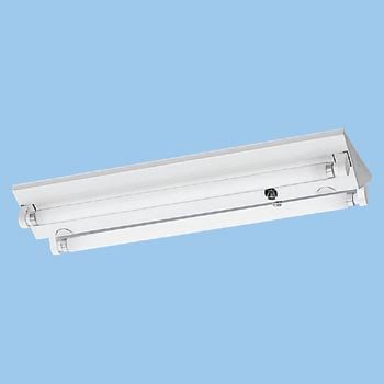 蛍光灯富士型器具 FL20形×2灯 グロー式・低力率 本体FA22038FGM （60Hz）+ランプFL0200371（FL20SSW18）（2本） FA22038FGM
