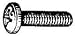 M5-.80X10 Stainless License Screw (100 count)