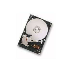 Hitachi DeskStar P7K500 - Festplatte - 500GB - intern - 3.5 - S-ATA2 - 300MBps - 7200 rpm - Puffer: 16MB (HDP725050GLA360)
