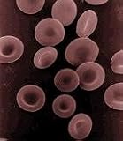 Blood Purifier Capsules