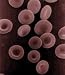 Blood Purifier Capsules