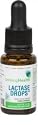 Lactase Drops 15 ml - Lactase Enzyme Supplement - 76 Servings - Safe for Infants