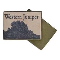 Juniper Ridge Juniper Ridge Red Rock Canyon Soap 3.5 fl oz - 3.5 fl oz