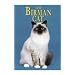 The Birman Cat (Learning about Cats (Capstone))