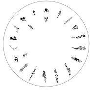 Design Wheel - Floral Nail Master Stencil Shield