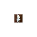 Jonathan Adler Squirrel Ring Box