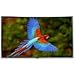Elite Screens Silver Frame High-Contrast Gray Fixed Projection Screen (84-inch)