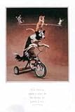 Click for more about Humour Posters: The Trick About Life - Dog on bike - 64 x 90 cm - N/A.