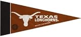 Texas Longhorns Mini Pennants - 8 Piece Set