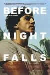BeFoRe NiGhT FaLls ReG Double Sided Original Movie poster