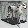 Midwest 1154U 54-By-35-By-45-Inch Single-Door Starter Series Pet Crate