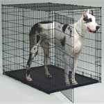 Midwest 1154U 54-By-35-By-45-Inch Single-Door Starter Series Pet Crate