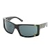 Electric VHF Sunglasses