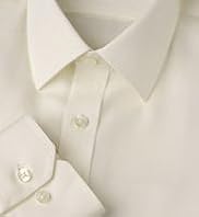 2" Shorter Ultimate Non-Iron Pure Cotton Twill Shirt