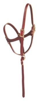 Weaver Figure 8 Latigo Foal Halter Suckling Brown