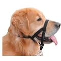 Halti Headcollar Black (Size: 3)