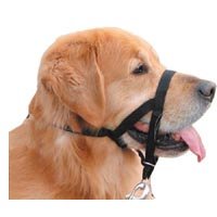 Halti Head Collar Size 2