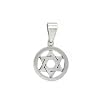 Stainless Steel Polished Pendant - Star of David