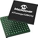 Microchip Technology