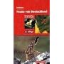 Fauna von Deutschland: Ein Bestimmungsbuch unserer&hellip von Paul Brohmer