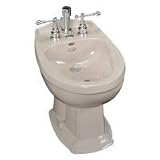 Kohler K-4897 Almond Portrait Bidet with Vertical Spray - K-4897