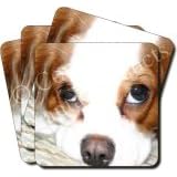 KING CHARLES Set of 4 Coasters