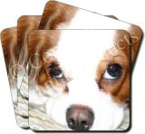 KING CHARLES Set of 4 Coasters