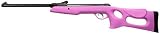 Gamo Lady Recon Air Rifle
