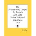 The Scuppernong Grape: Its Growth And Care Under Vineyard Conditions (1913)