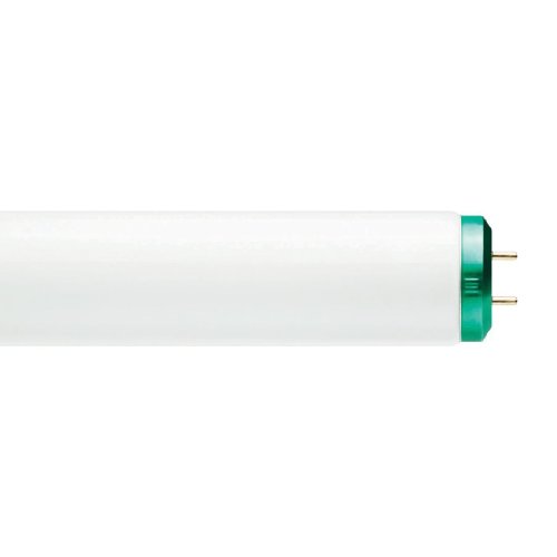 40 Watt 48 6500K Bulb (F40/DX/ALTO)