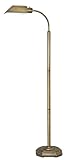 OTT-LITE Alexander Brass Energy Saving Gooseneck Floor Lamp