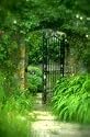 Effective Life Skills -- The Inviting Garden Path for Sleep, Audio Cassette (Guided Imagery for Relaxation, Stress Management and Self-Hypnosis for Improved Sleep) (Calms Body & Mind to Cope with Depression, Worry & Anxiety, Sleep Problems: Tools for Improving Sleep)