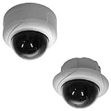 Pelco IM10LW10-1E SARIX OUTDR MINIDOM 1.2M LOWLIT WDR DN 2.8-10 CLR