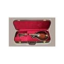 Hardshell Mandolin Case