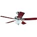 Hunter Fan 22460 52" Ceiling Fan with Light