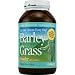 Pines International Barley Grass Powder -- 10 oz