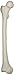 3B Scientific A35/1R Right Femur Model