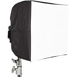Chimera Maxi Bank Silver 16x22