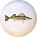 21UtJwgk8nL. SL75  Hunting the Elusive Walleye   Where to Find Walleye