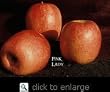 Pink Lady Apple Tree Five Gallon