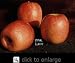 Pink Lady Apple Tree Five Gallon