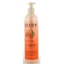 Jason Body Wash Mango (12 oz) ( Multi-Pack)