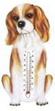 Thermometer - Cavalier King Charles