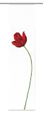 Home fashion 86154-707 Schiebevorhang Digitaldruck ""Amsterdam"" / Dekostoff 245 x 60 cm