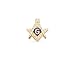 23k Gold Electroplated Tie Clip