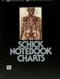 The anatomical chart series